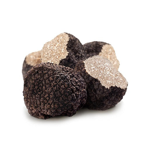 Black Summer Truffle